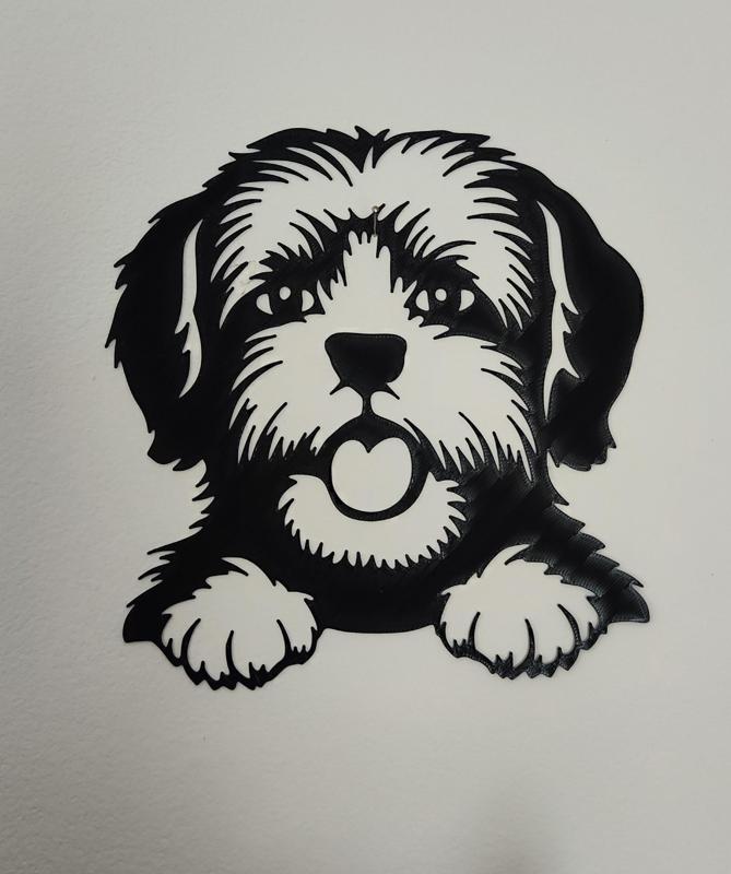 Shih-TZU
