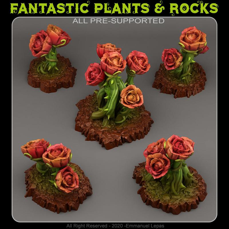 GIANT MYSTIC ROSES
