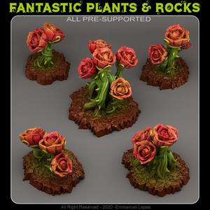 GIANT MYSTIC ROSES