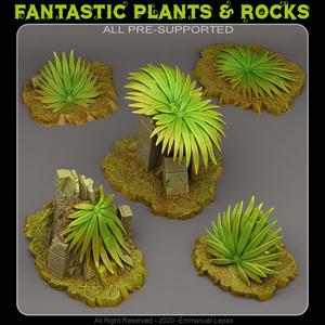 AZTEC PLANTS