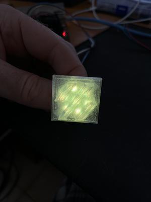 Stealth Skirts LED Logo