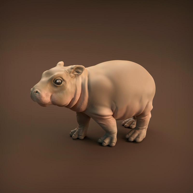 Baby Hippo