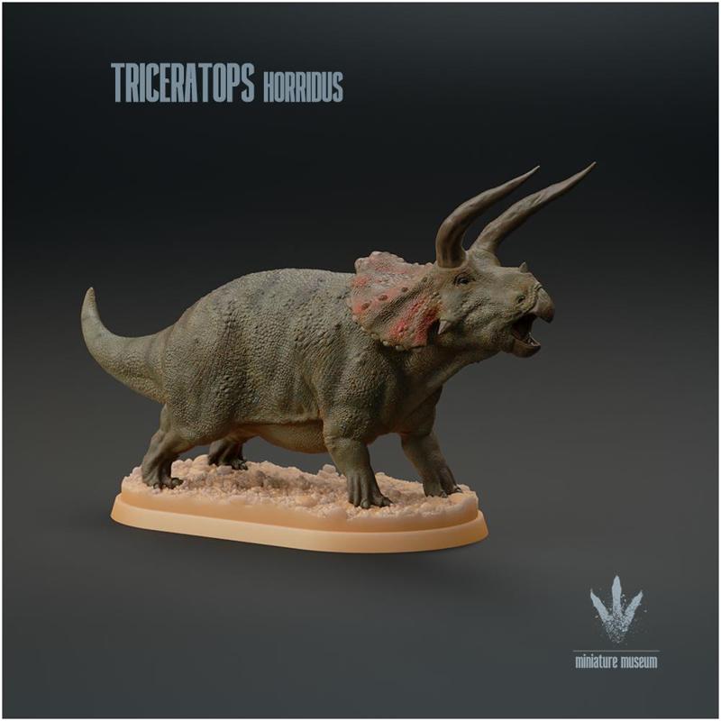 Triceratops horridus : Display