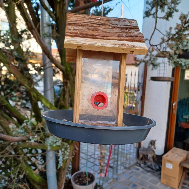 Birdfeeder Cup (Replacement)