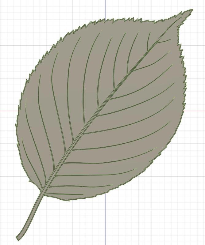 Apple leaf