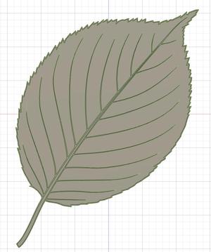 Apple leaf
