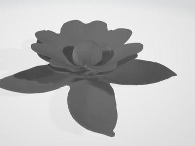 Beauty flower decoration
