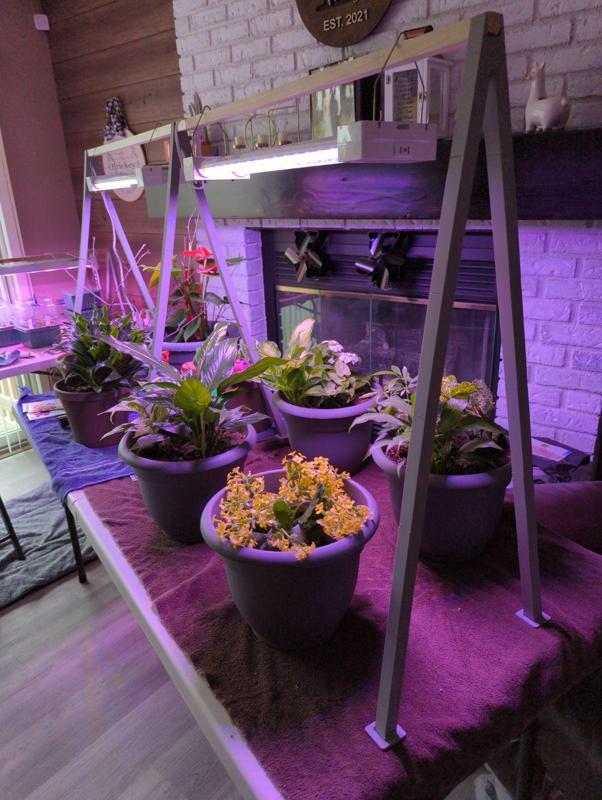 Modular Light Holder Frame