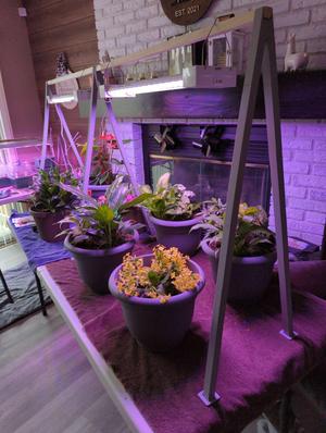 Modular Light Holder Frame