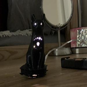 remix project cat lantern