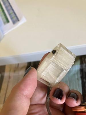 pet training clicker