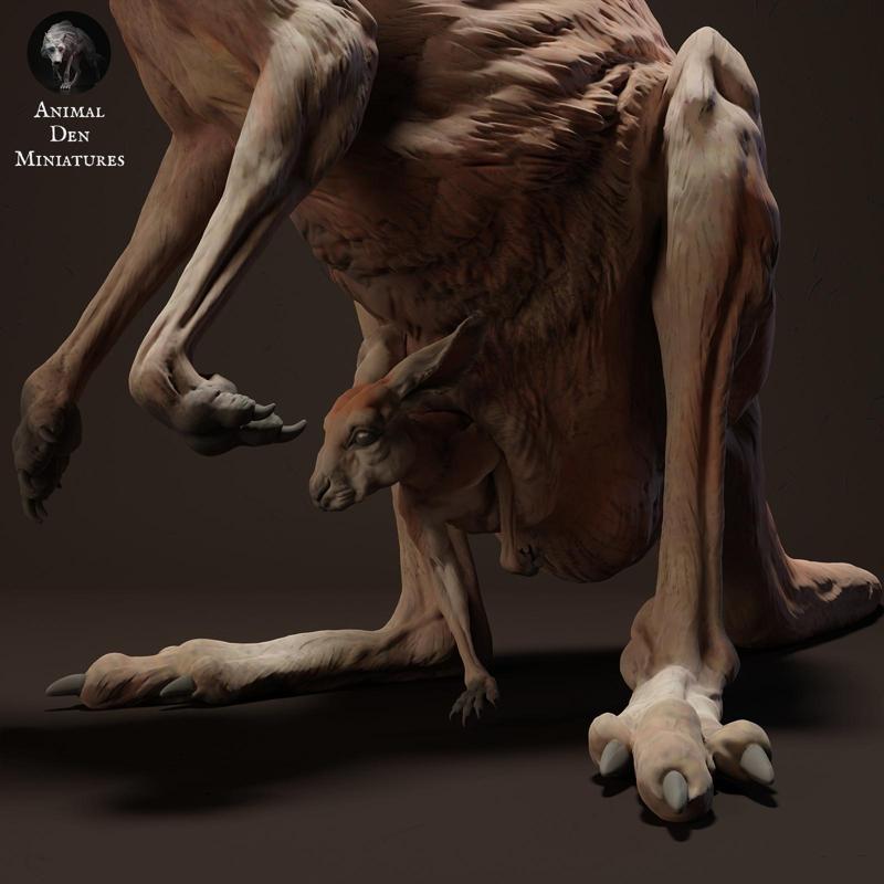 Red Kangaroo Female Stand