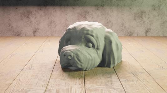 dog's head