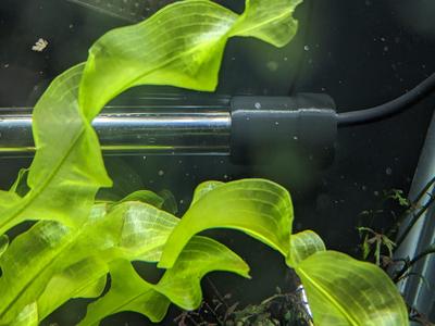 Eheim Jager - Cover for Heater Dial