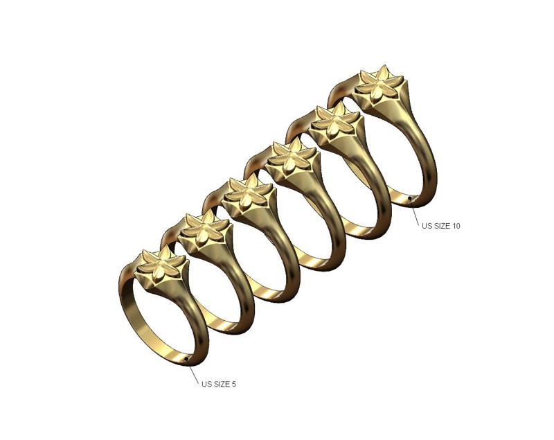 Leaf rosette hexagonal star signet ring US sizes 5to10 3D print model