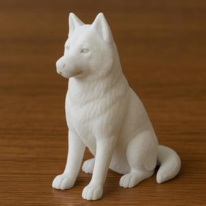 Husky