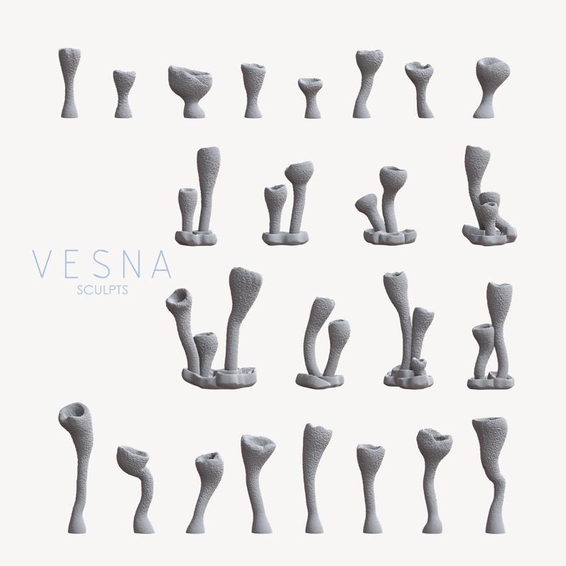 PIXIE CUP LICHEN|FUNGI