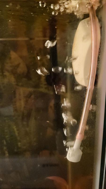 alternate version of air stone for the fishies