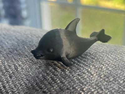 Dolphin   