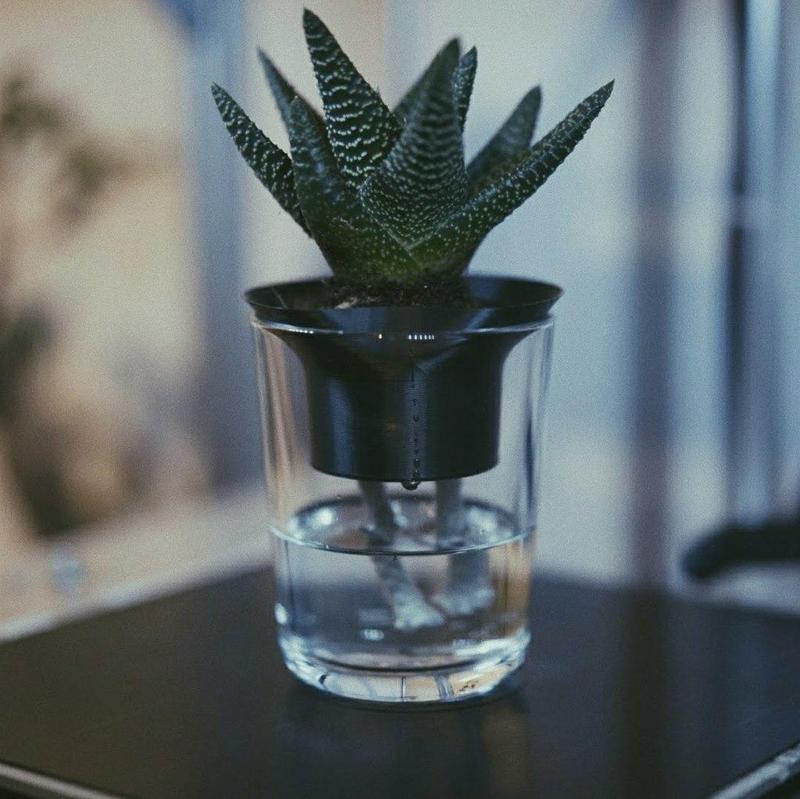Senkelpflanze // Self watering planter. 
