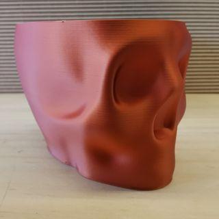 NORA THE VASEMODE SKULL