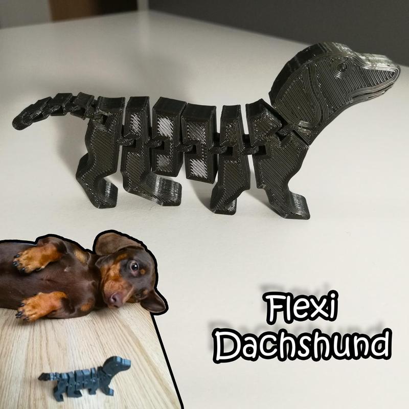 Flexi Dachshund