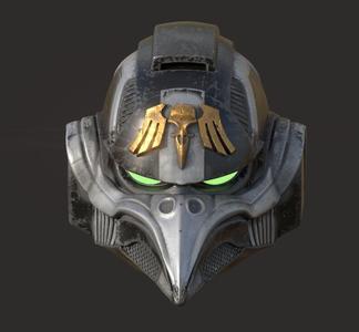 Raven Guard Helmet