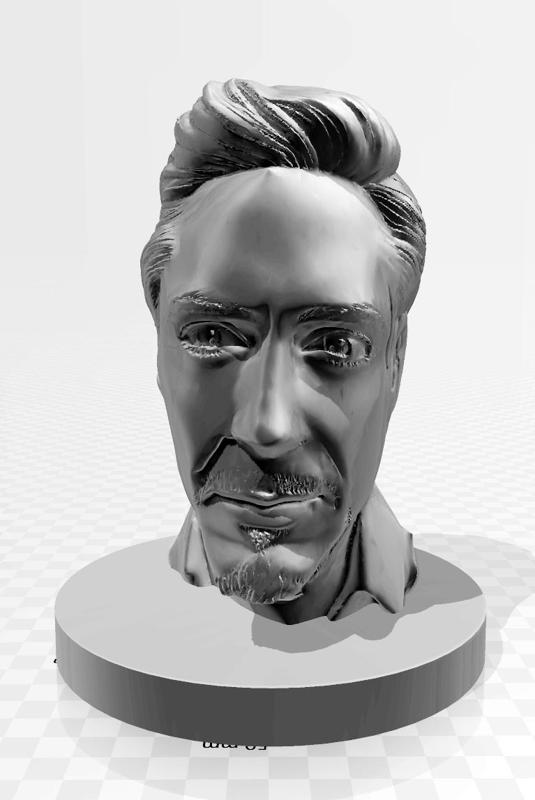 robert downey jr bust