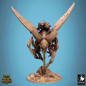 Scarab Host Fly Look