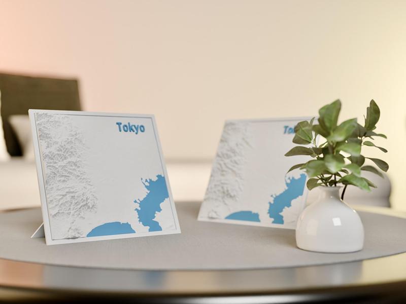 Tokyo Topographic Map