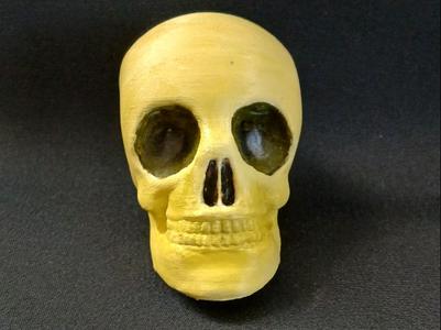 skull