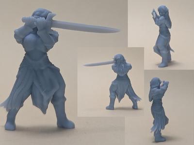 Elf Female Fighter (DND / TTRPG)