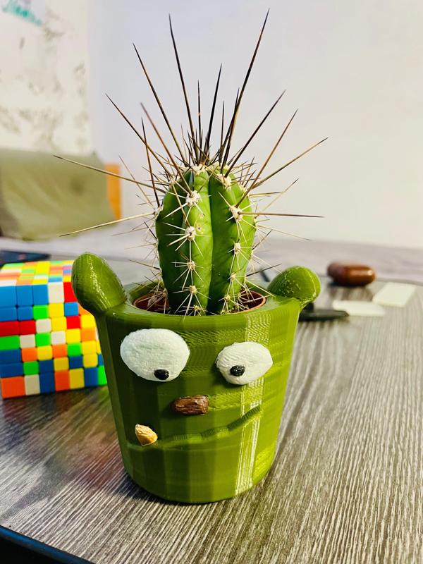 Funny Face Boris Planter