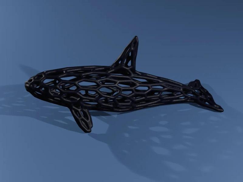 Orca / Killer Whale Voronoi   