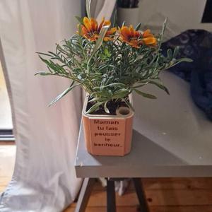 flower pot Mother's Day - pot de fleurs fête des mères