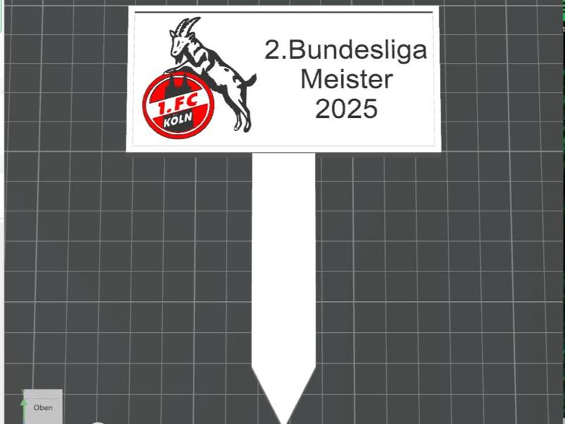 1. FC Cologne Champion Shield