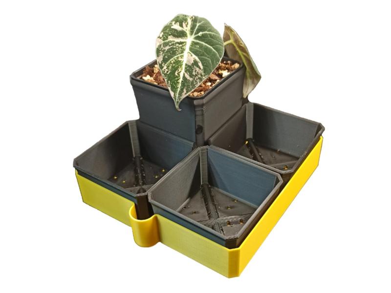 different sized plant or seedlings pots on a tray