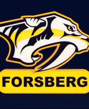 Nashville Predators Sign - LED Strip Compatible