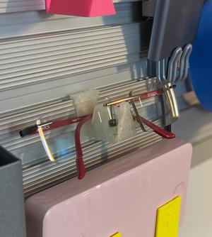 Glasses Holder, California Closet Accessory Wall
