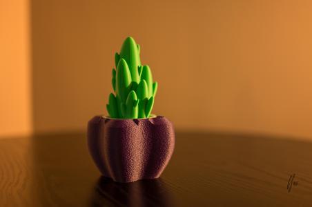 Amethyst Pod