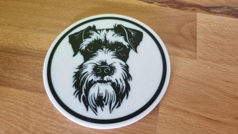Miniature Schnauzer coaster
