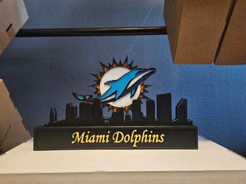 miami dolphins with skyline of Miami NFL 