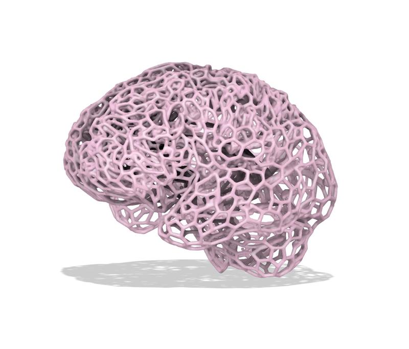 Human Brain Voronoi