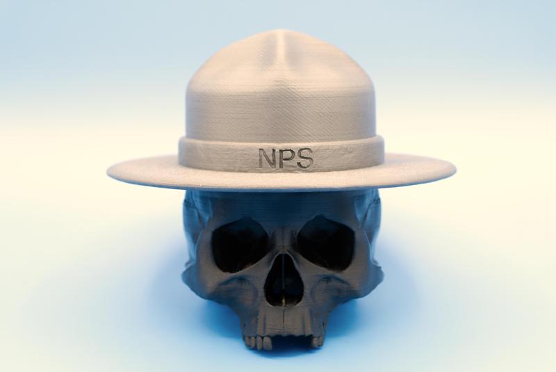 Resistance Rangers Skull (Pre Supported)