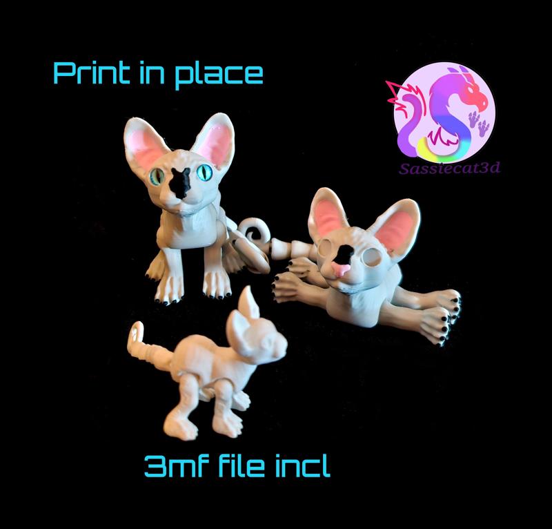 Sphynx cat mini *Personal Use*