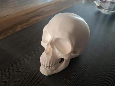 Skull for towbar / Lebka na tažné   