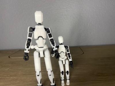Dummy 5 Dummy 13 Variant