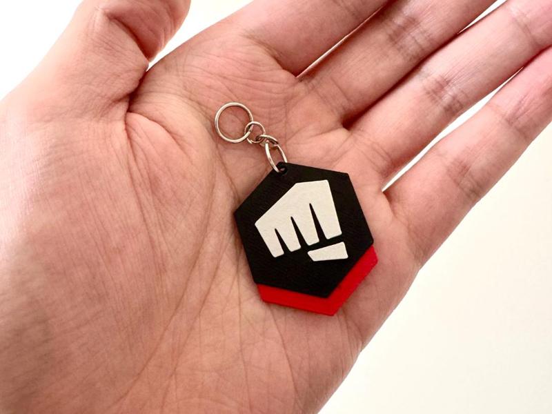 VALORANT Riot Gun Buddy