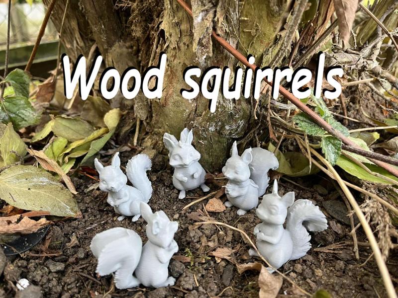 Wood squirrels