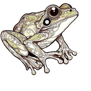 Frog